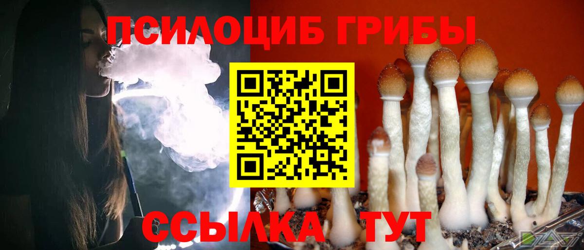 Псилоцибиновые грибы MAGIC MUSHROOMS  Вход с VPN  Псилоцибиновые грибы MAGIC MUSHROOMS  Елабуга 